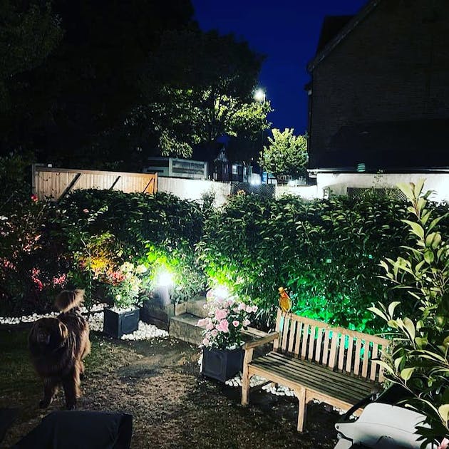Garden Lighting in Croydon using Philips Hue spike lights